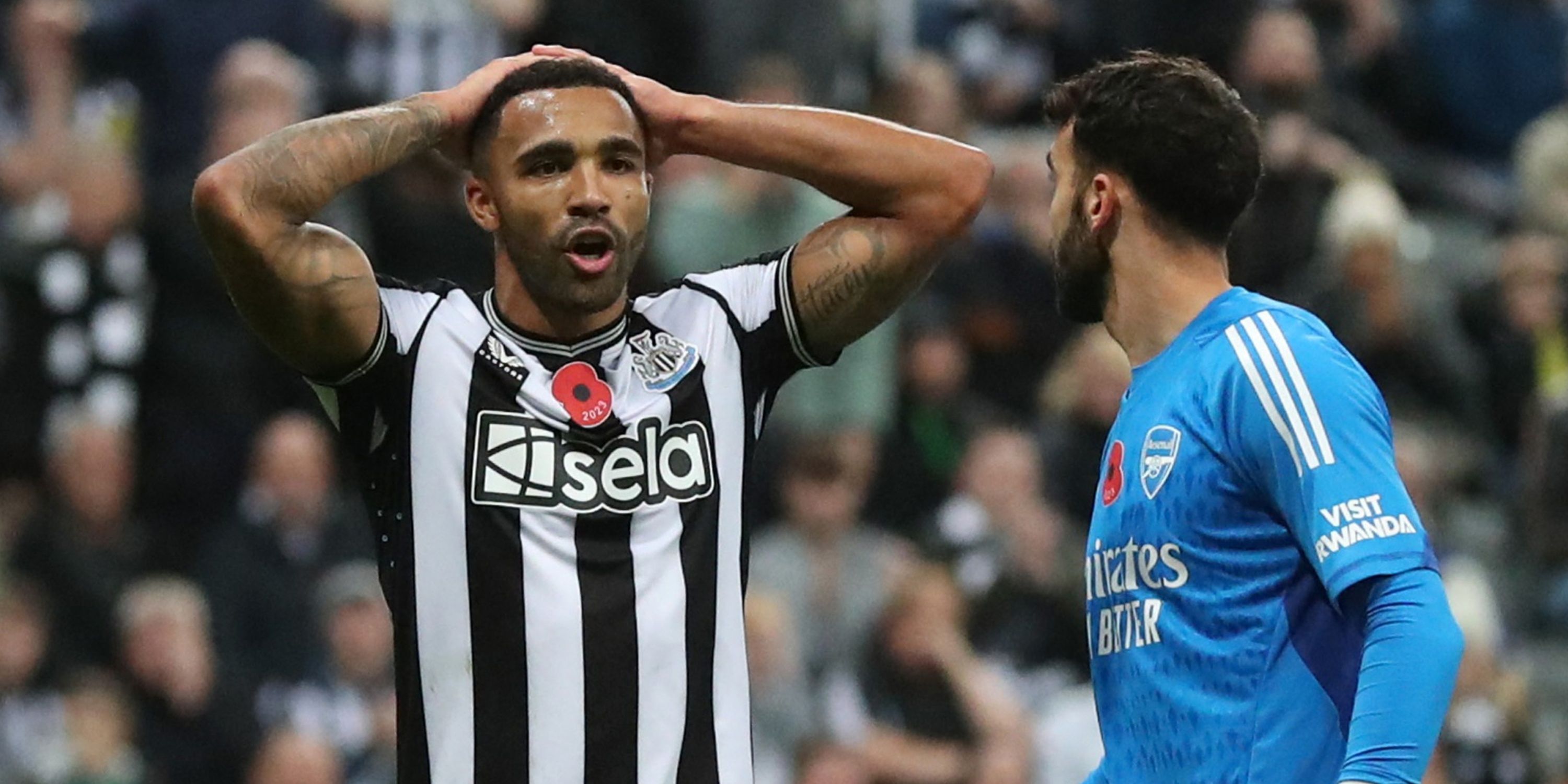 callum-wilson-newcastle-united