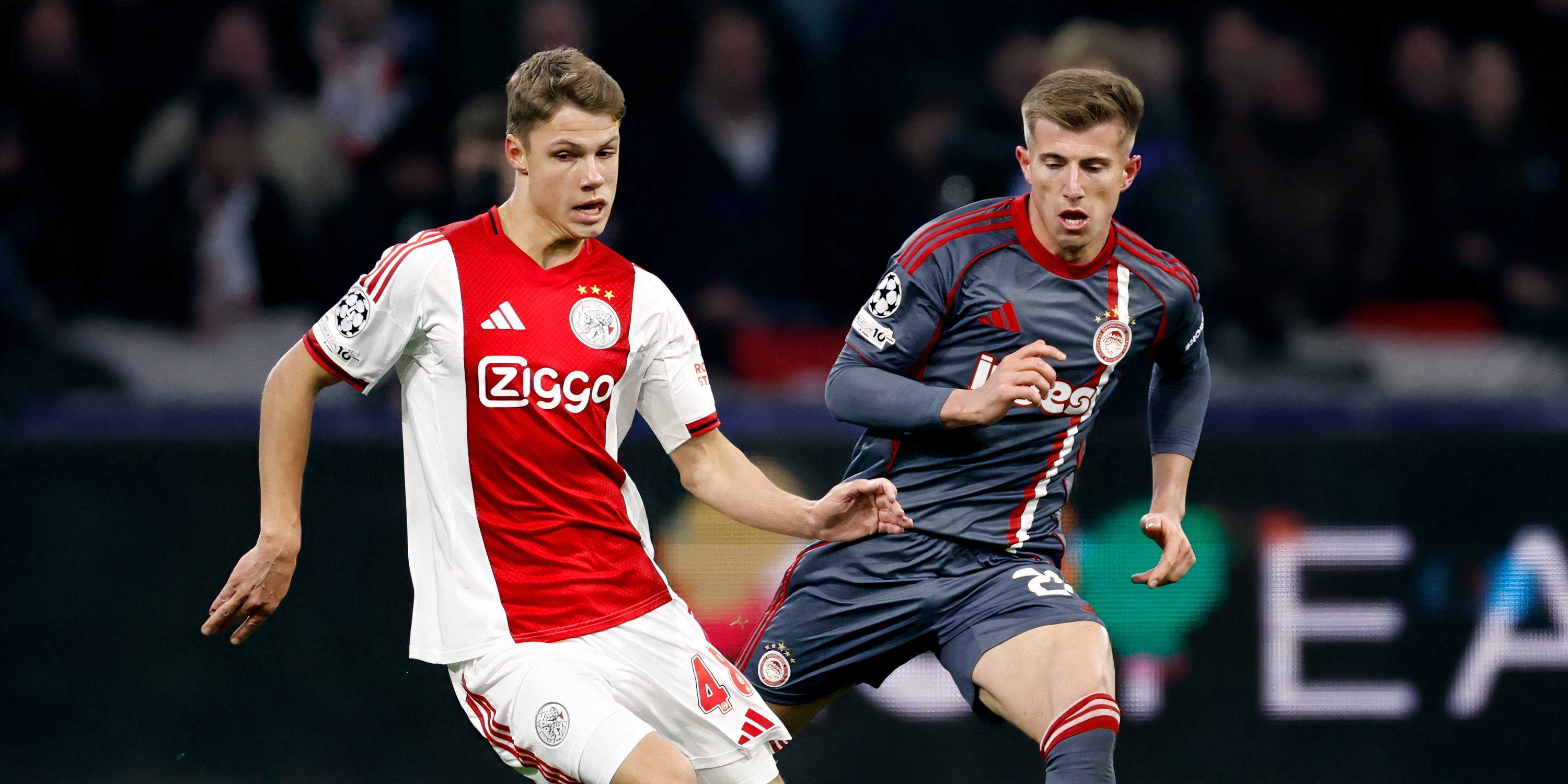 Newcastle signing Sean Steur-1