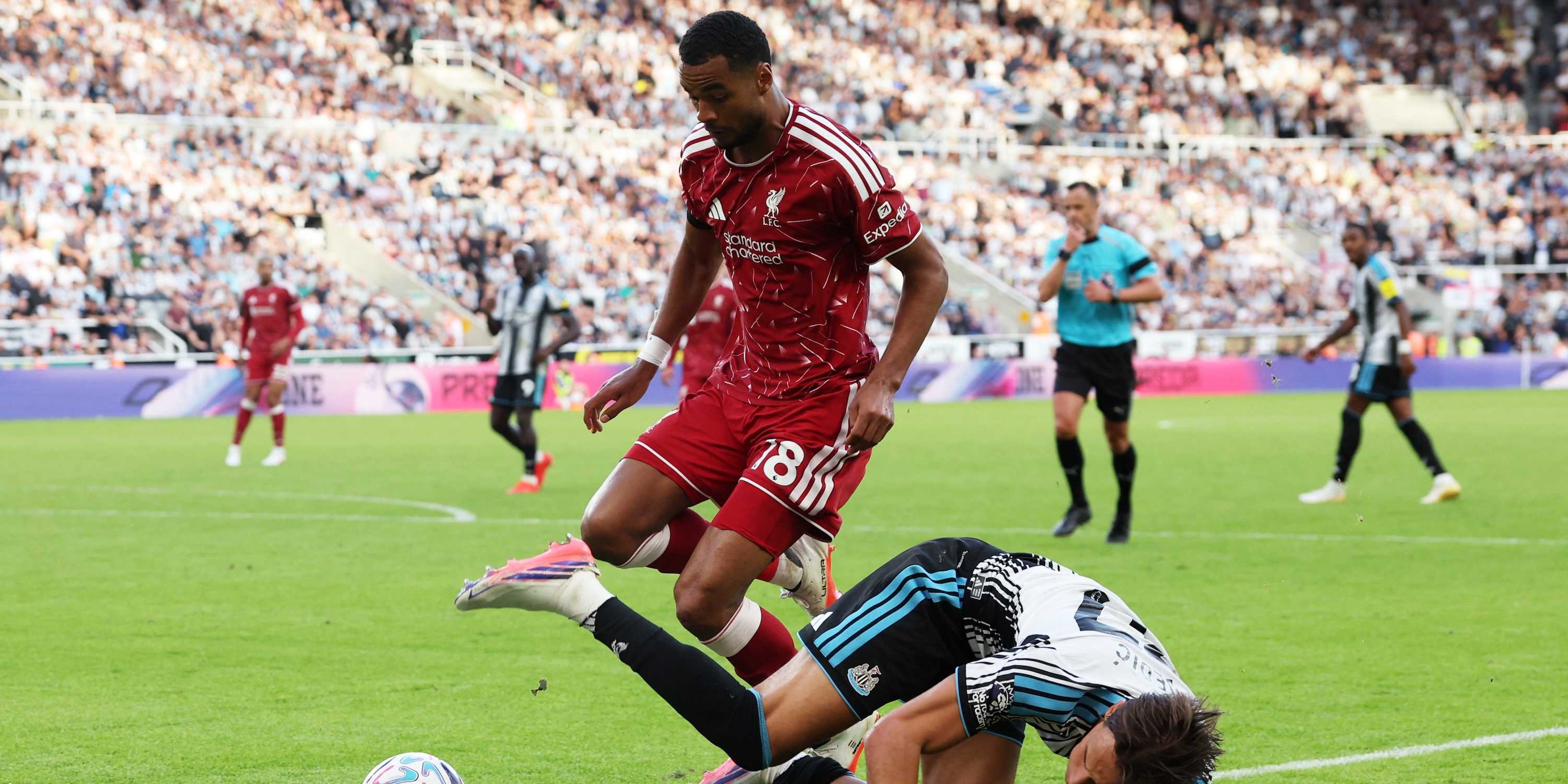Newcastle United's Amar Dedic in action with Liverpool's Cody Gakpo