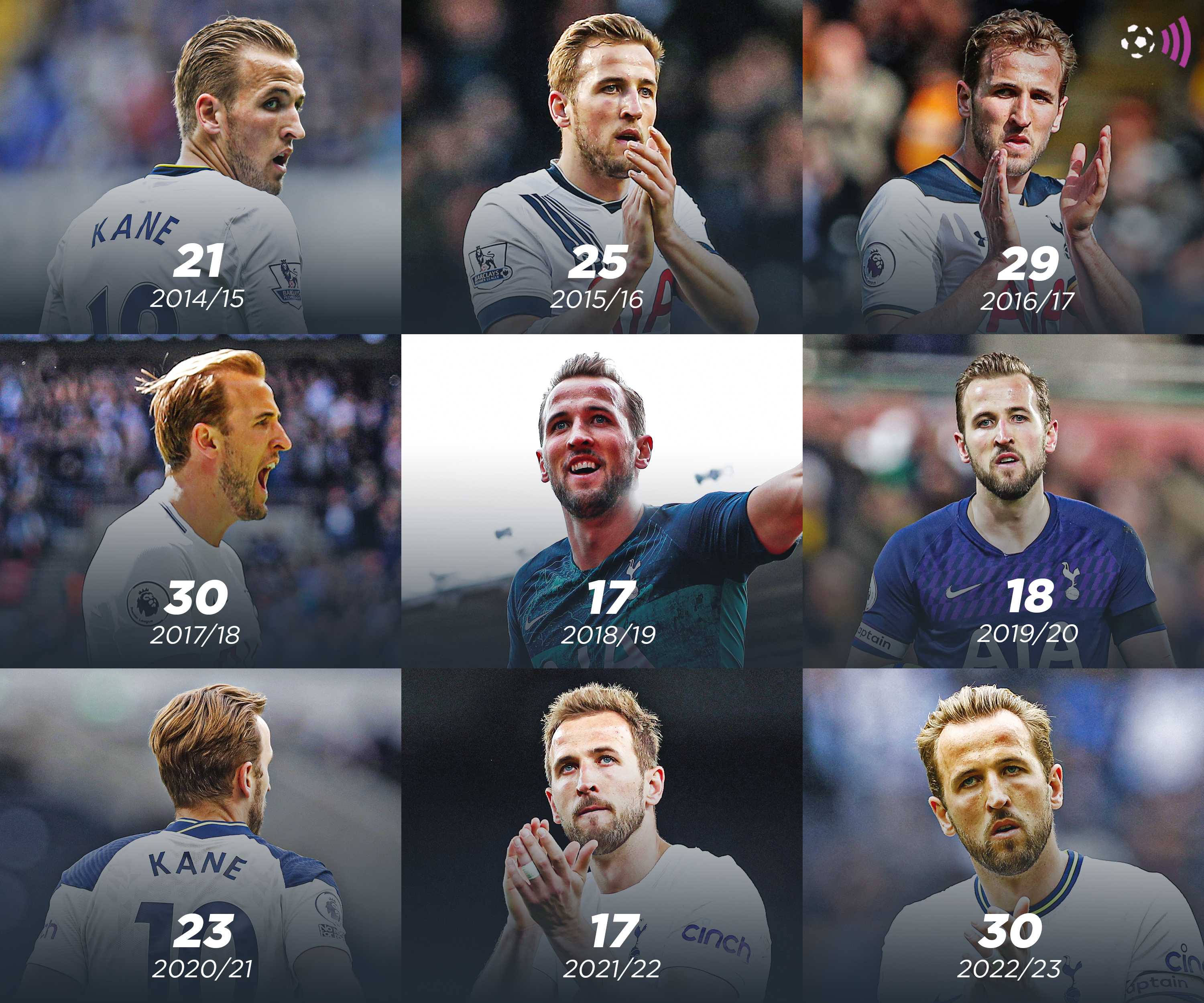 Harry Kane Premier League goals per season (timeless)